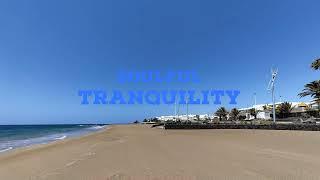 Soulful Tranquility 2024 (Chilled Drum & Bass)