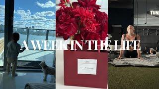 A Week in The Life: Thanksgiving, Heat Game, Perfume Review & more...