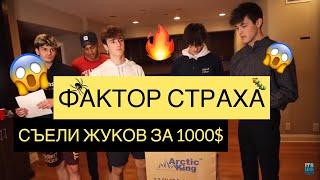 ФАКТОР СТРАХА КТО ЗАБЕРЁТ 1000$?