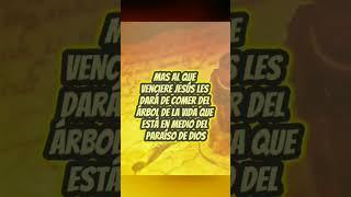 La advertencia para la iglesia  de Efeso