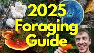 2025 Foraging Guide to Wild Mushrooms and Plants!