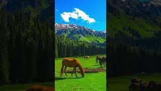 Classic tour Kyrgyzstan 6 Days