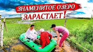 Shaitan Lake is overgrown! Grace is in a mystical place. Okunevo village, Omsk region.