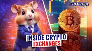 How Does a Crypto Exchange Work: A Beginner's Guide Hamster Academy