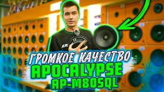 Где найти баланс громкости и качества? Apocalypse AP-M80SQL | Сравнение с M81SE #автозвук