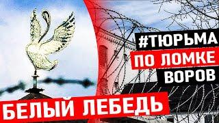 ЭТУ ТЮРЬМУ БОЯТСЯ ДАЖЕ ВОРЫ В ЗАКОНЕ! Тюрьма Белый Лебедь от Маньяков до Воров в Законе