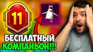 КОМПАНЬОН БЕСПЛАТНО В PUBG MOBILE! УТЕЧКИ ROYAL PASS 11 СЕЗОНА В ПУБГ МОБАЙЛ! СЛИВ 11RP