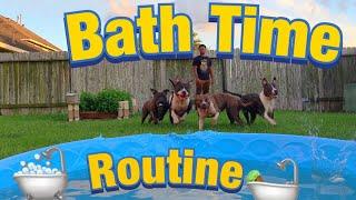 Bath Routine! It’s time for the bigs one’s to take a bath!