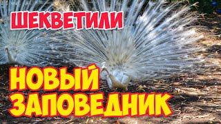 Дендрологический парк в Шекветили | Грузия Гурия Аджария Батуми | Усадьба Иванишвили #WithMe