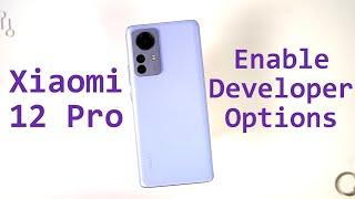 How to Enable Developer Options on Xiaomi 12 Pro