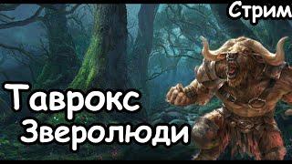 Таврокс Медный Бык. (Легенда.) ч.1  Total War: Warhammer 3.