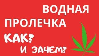 ВОДНАЯ ПРОЛЕЧКА | КАК СДЕЛАТЬ ВОДНУЮ ПРОЛЕЧКУ? | ПРОЛЕЧКА КОНОПЛИ | ТРАВЫ | МАРИХУАНЫ