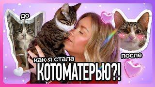 Как я стала котоматерью: от потери собакена до котенка по имени Кафф