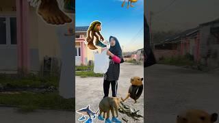 Tralala lelo tralala #trendingshorts
