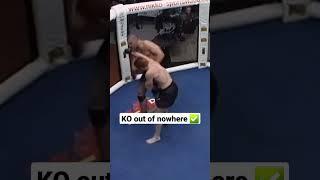 Datsik vs Andrei Arlovski - one of the most bizarre MMA fights ever