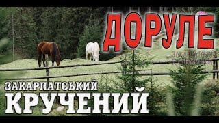 ДОРУЛЕ - ЗАКАРПАТСЬКА СПІВАНА #коломийка