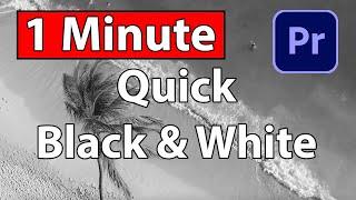 Quick Black and White Video Tutorial Premiere Pro 2024