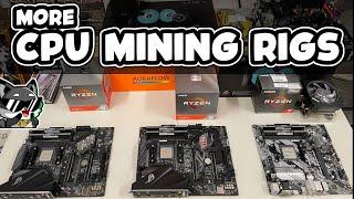 3X NEW RYZEN CPU Mining Rigs | Starting Steps On My RYZEN CPU Mining Rigs