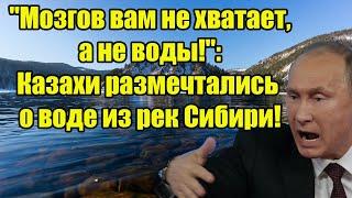 "Мозгов вам не хватает, а не воды!": Казахи размечтались о воде из рек Сибири!