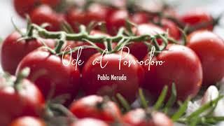 Ode al Pomodoro - Pablo Neruda