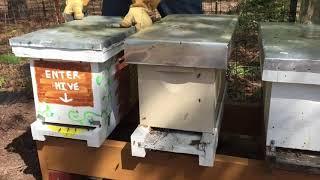 Fun With Nucs: Checking Two Types of Hive Splits