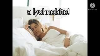 Are you a lychnobite?