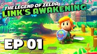 KOHOLINT ISLAND - Part 1 - The Legend of Zelda: Link's Awakening No-Commentary Walkthrough