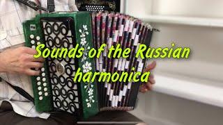 Famous Russian songs on the harmonica