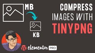 Compressing Images with TinyPNG