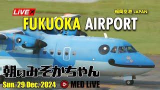 1️⃣LiVE Fukuoka (Japan) Airport Plane Spotting️福岡空港ライブカメラ Sun. 29 Dec. 2024 (FUK/RJFF)