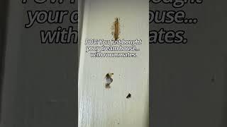 Termite Treatment, Control, and Inspection from Bug Tech