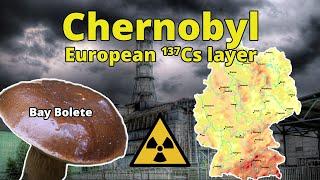 The radioactive mushrooms in Europe - nuclear chemistry