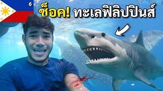 สุดอึ้ง! ว่ายน้ำทะเลฟิลิปปินส์ ระวังเจอแบบนี้ | Swim with the whale sharks in Philippines EP.6