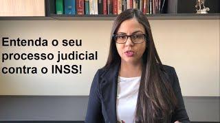 Entenda o seu processo judicial contra o INSS!