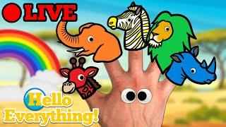  Hello Everything!  Live Stream | Finger Family Nursery Rhymes & Animation