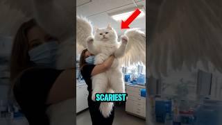 Top 5 Scariest Hybrid Animal You Won’t Believe Exists 