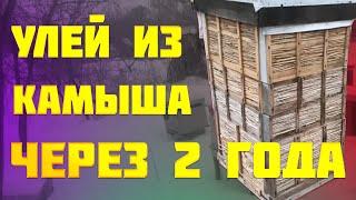 Улей из камыша через 2 года, Улья из фанеры и алюминия. Каркасный улей