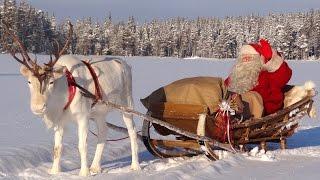 Il Migliori Messaggi di Babbo Natale: video messaggio di Santa Claus Lapponia Finlandia Rovaniemi