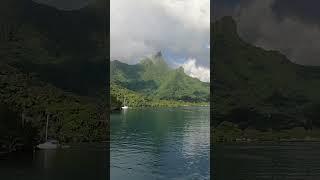 Arrival on the island of #moorea ! Beautiful #shorts #youtubeshorts