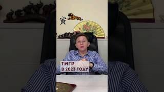 Прогноз для Тигра на 2023 #бацзы #прогноз2023 #годкролика2023