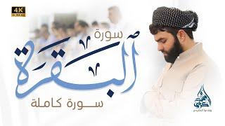 سورة البقرة كاملة للقارئ بيشةوا قادر الكردى #رمضان_2022-Sourate Al Baqara Peshawa Qadr Al Kurdi 2022