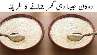 Dehi Jamane Ka Sahi Tarika by Samiullah Food Secrets | How to make curd at home |