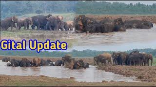 Gital Update || Garo News|| Mongma Bathan