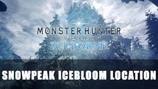 MHW Iceborne: Snowpeak Icebloom Location