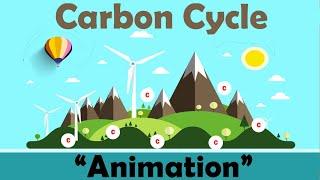 CARBON CYCLE | Biology Animation