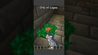 Minecraft!! Only In Lagva!!