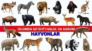 ISLOMDA GOʻSHTI HALOL VA XAROM HAYVONLAR.