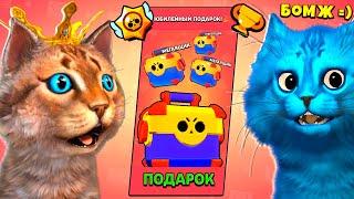 ОТКРЫВАЕМ ПОДАРКИ В БРАВЛ СТАРС (Brawl Stars) Весёлый Кот и КОТЁНОК ЛАЙК