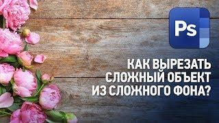 Как вырезать сложный объект из сложного фона? Ответы на вопросы №8