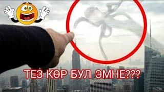 Камерага түшүп калган түшүнүксүз жандыктар ТОП 5 видео | Тез көрүңүз |  Бекболсун Шоу